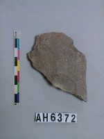 藏品(磨製石斧)的圖片